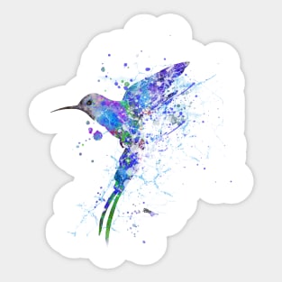 Hummingbird art Sticker